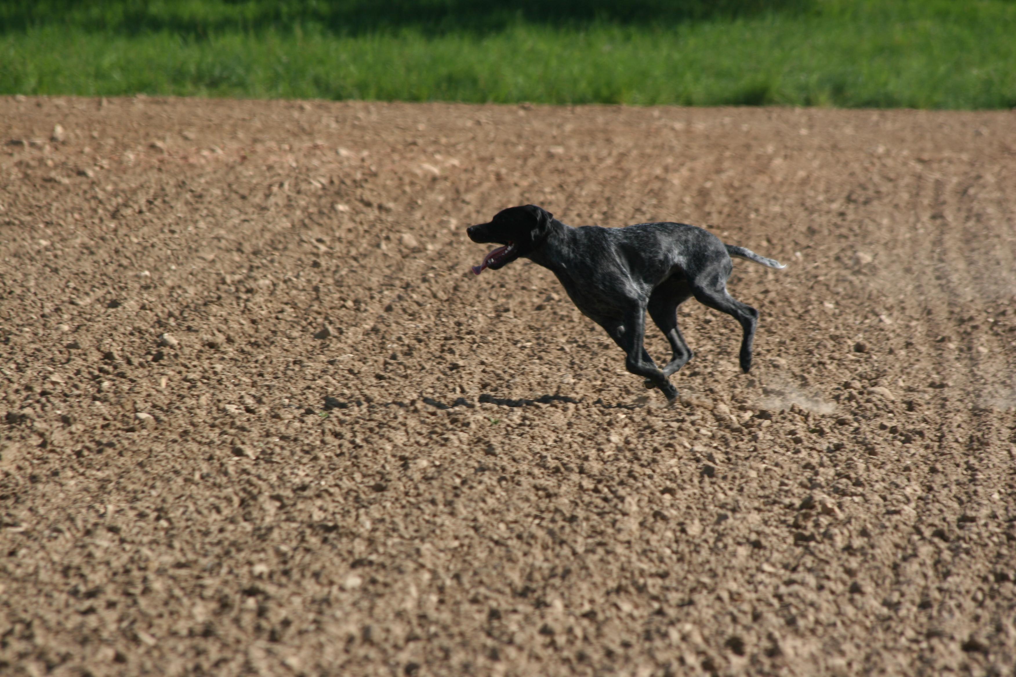derby_2007_6